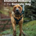 Emotional Wellbeing in the Domestic Dog Book Cover