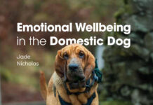 Emotional Wellbeing in the Domestic Dog Book Cover