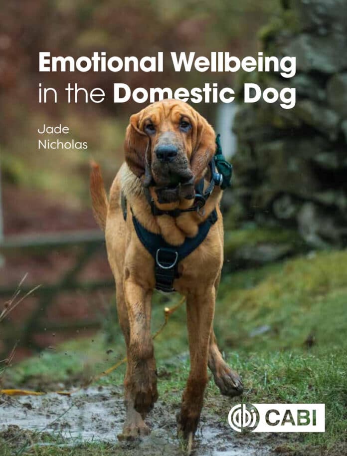 Emotional Wellbeing in the Domestic Dog Book Cover