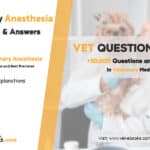 Veterinary Anesthesia Monitoring Quiz with Clinical Scenarios & Explanations