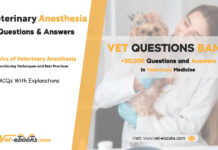 Veterinary Anesthesia Monitoring Quiz with Clinical Scenarios & Explanations