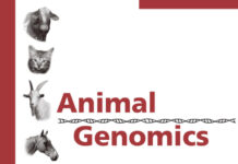 Animal Genomics: Reprint of: Cytogenetic and Genome Research