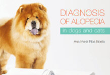 Diagnosis of Alopecia In Dogs and Cats PDF Download