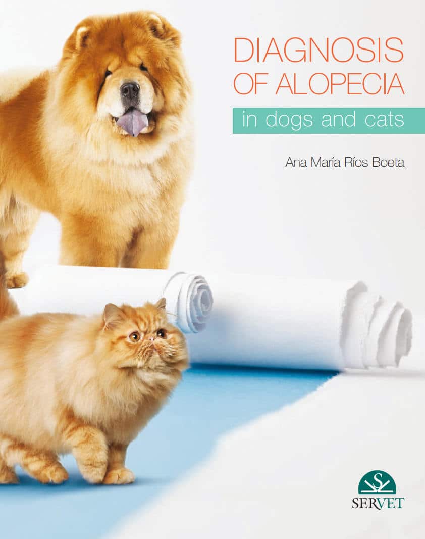 Diagnosis Of Alopecia In Dogs And Cats Pdf Download
