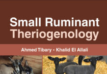 Small Ruminant Theriogenology Book PDF