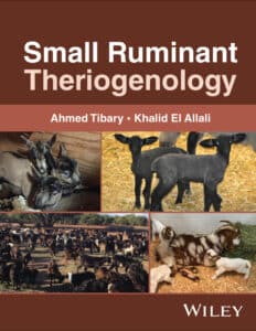 Small Ruminant Theriogenology Book Pdf