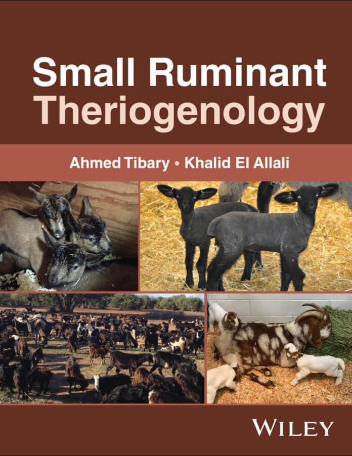 Small Ruminant Theriogenology Book PDF