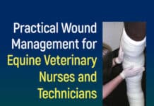 Practical Wound Management for Equine Veterinary Nurses and Technicians Book Cover
